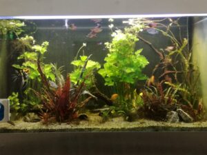aquarium trentmann 1024x768