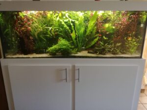 aquarium vogtländer 1024x768